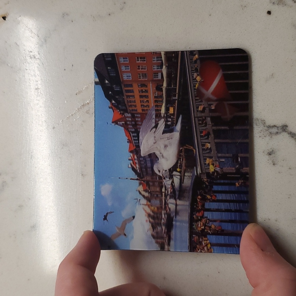3d magnet